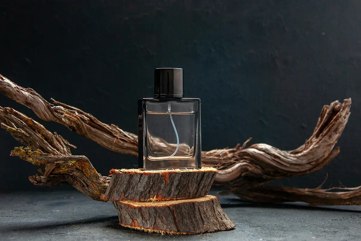 Sunlight filtering through a deep, mossy forest representing the Woody fragrance family